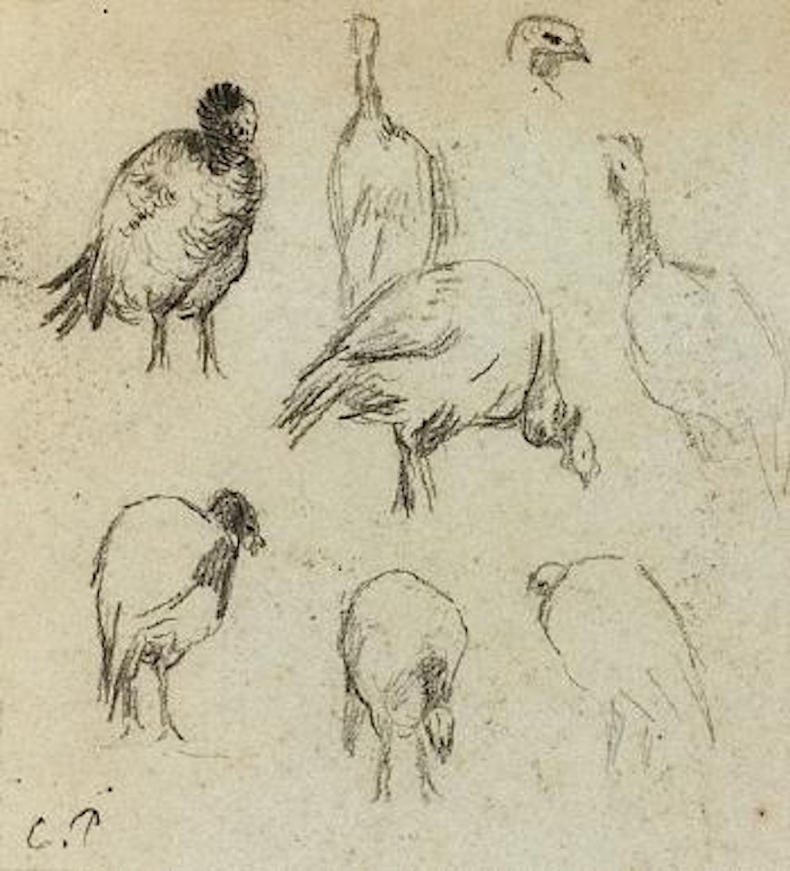 Etude de dindons by Camille Pissarro