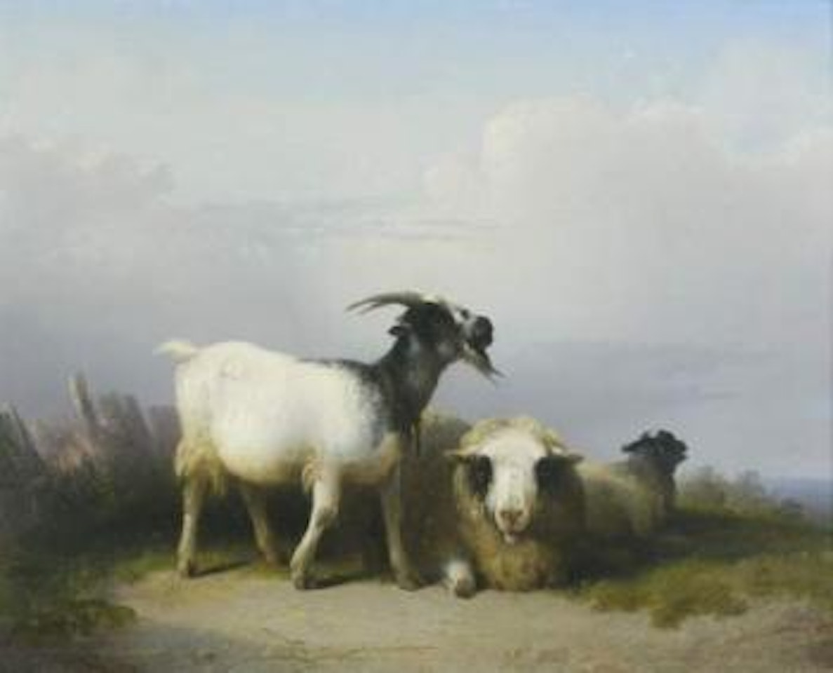 Chèvre et moutons au repos by Eugène Joseph Verboeckhoven