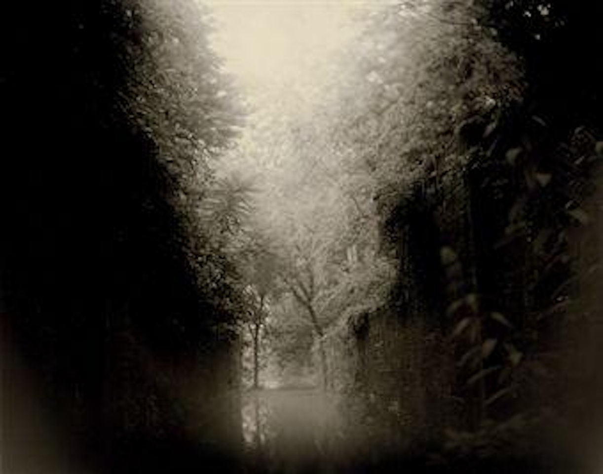 Untitled, from the series Mother Land: Virgina by Sally Mann