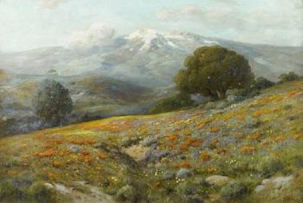 California wildflowers by Angel Espoy