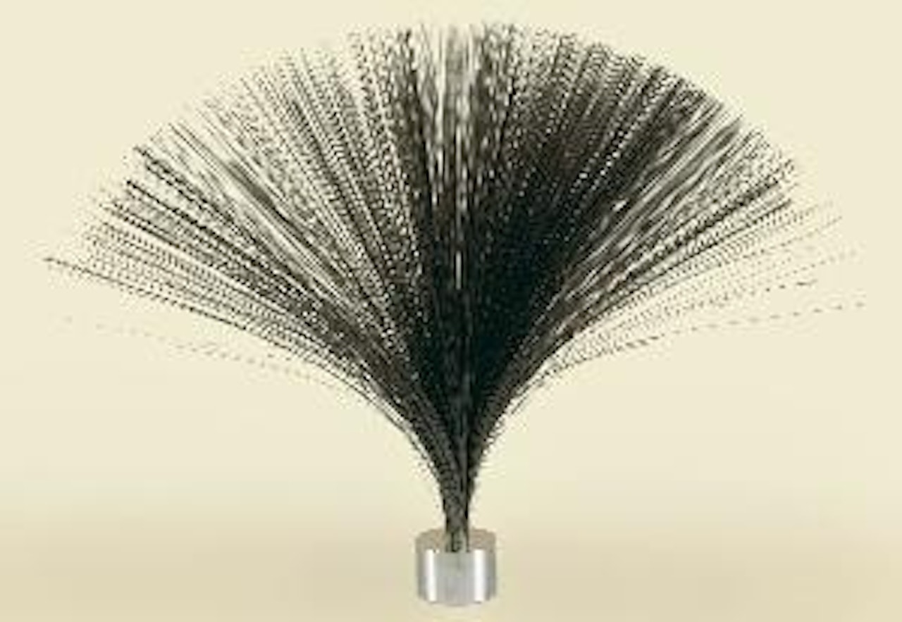Untitled (Spray) by Harry Bertoia