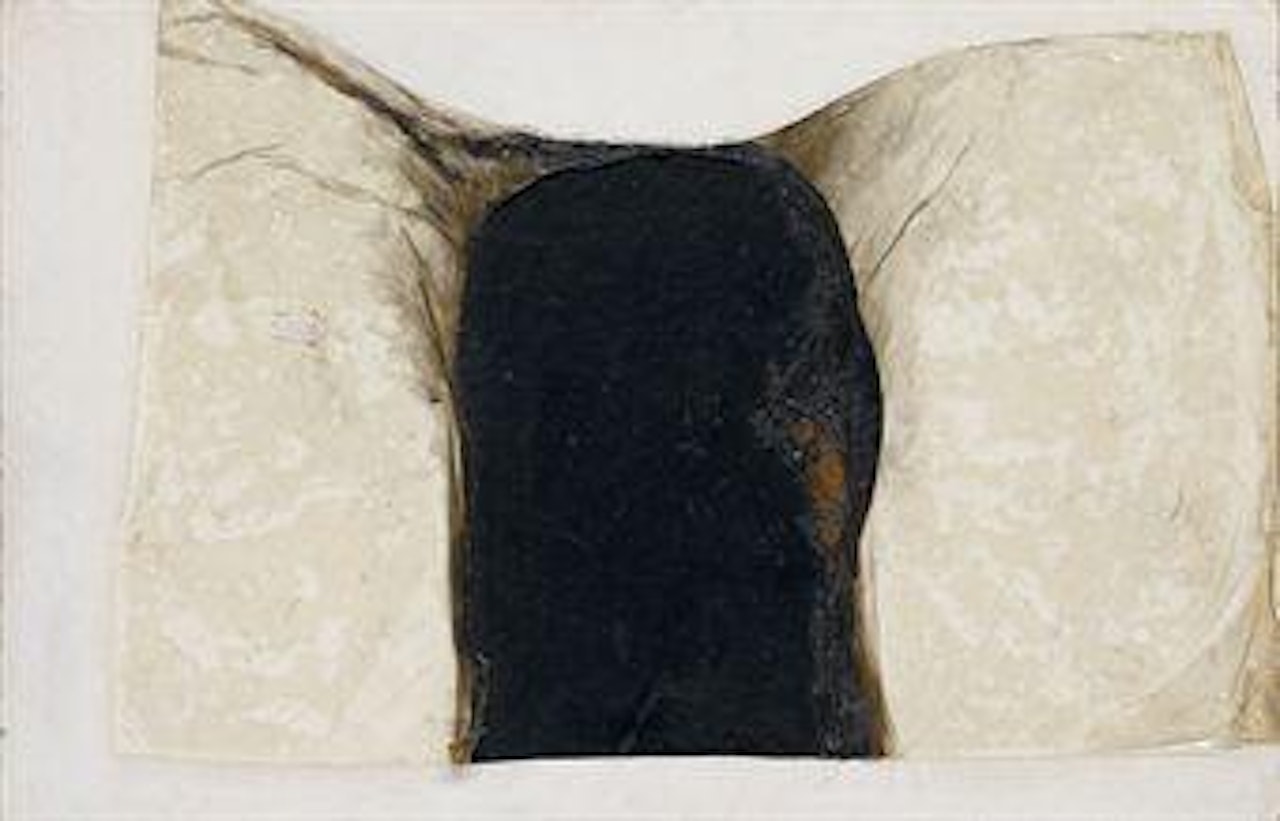 Combustione plastica by Alberto Burri