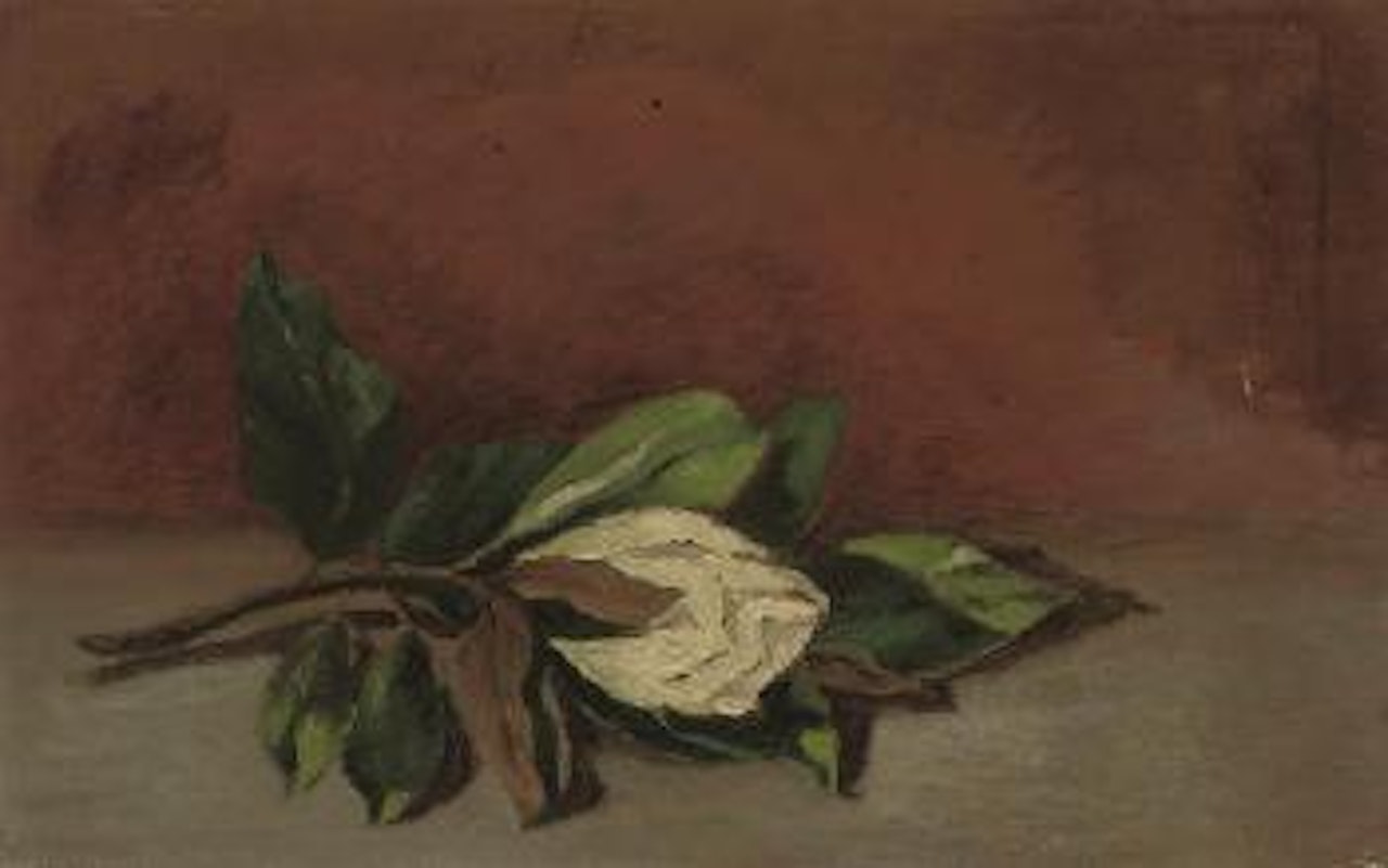Magnolia by Andre Derain