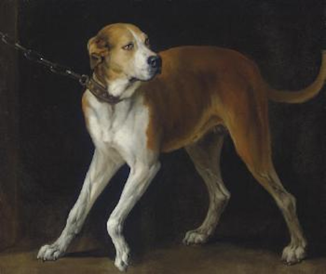 A Favorite Hound held by a Chain by Anthony van Dyck