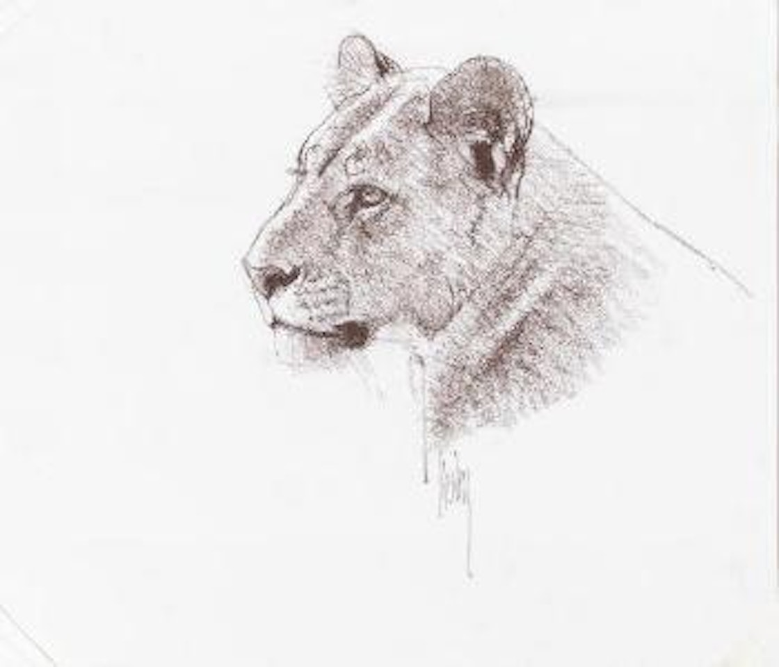 Head of a Lioness by Bob Kuhn