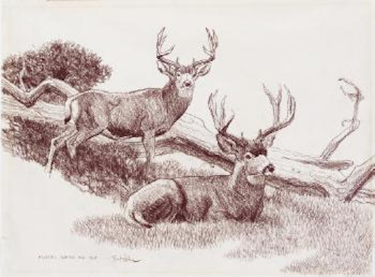 Friends Before the Rut by Bob Kuhn