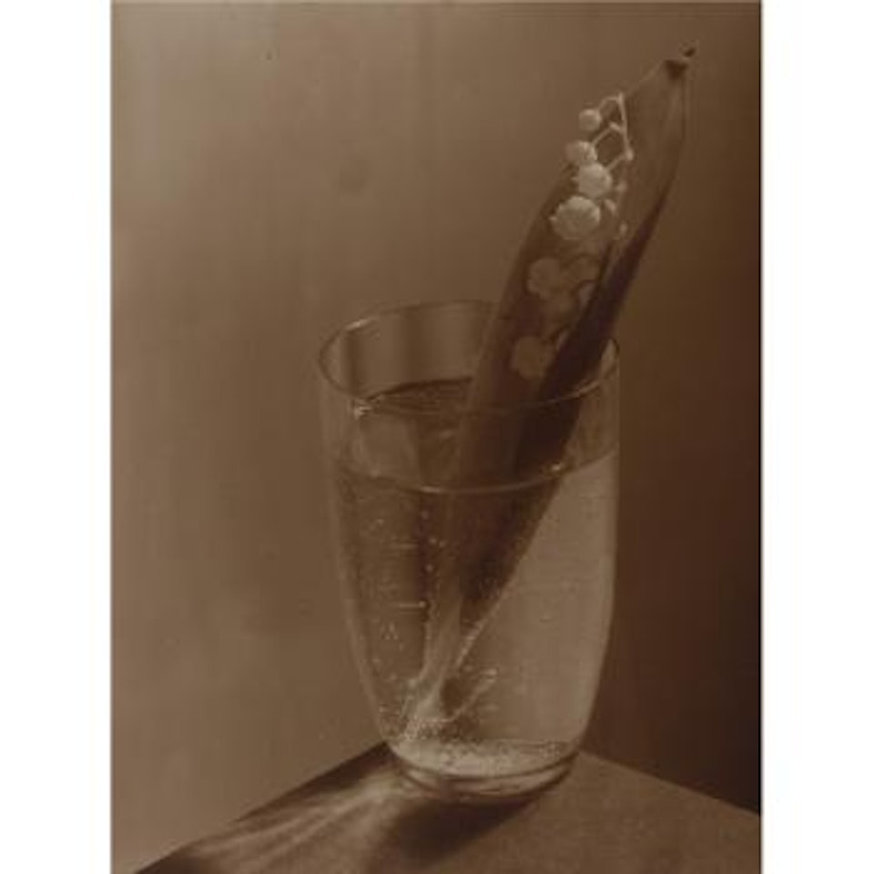 Konvalinka (Lily Of The Valley) by Josef Sudek
