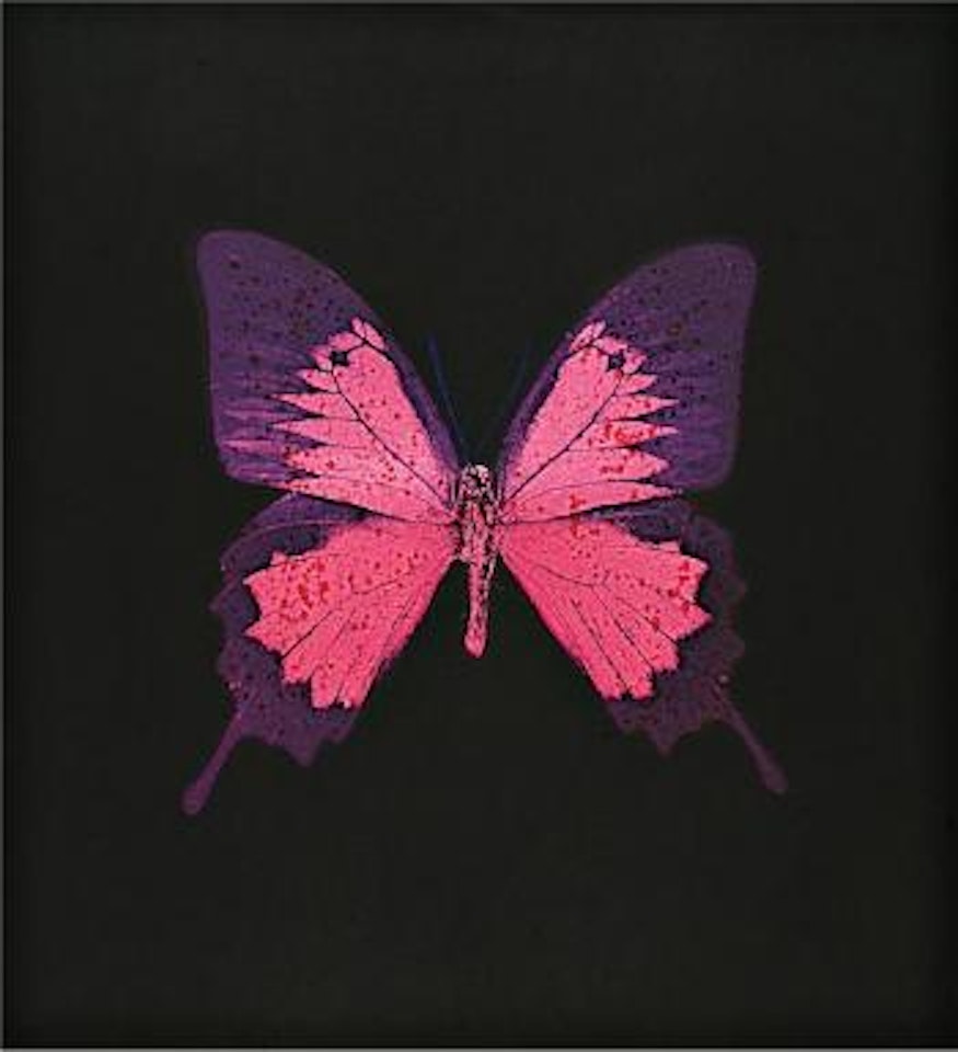 Purple Butterfly by Damien Hirst