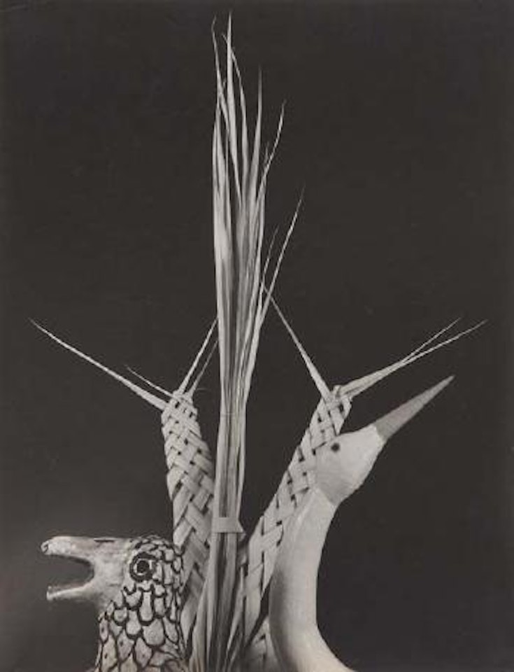 Bird, Penguin, Palma by Edward Weston