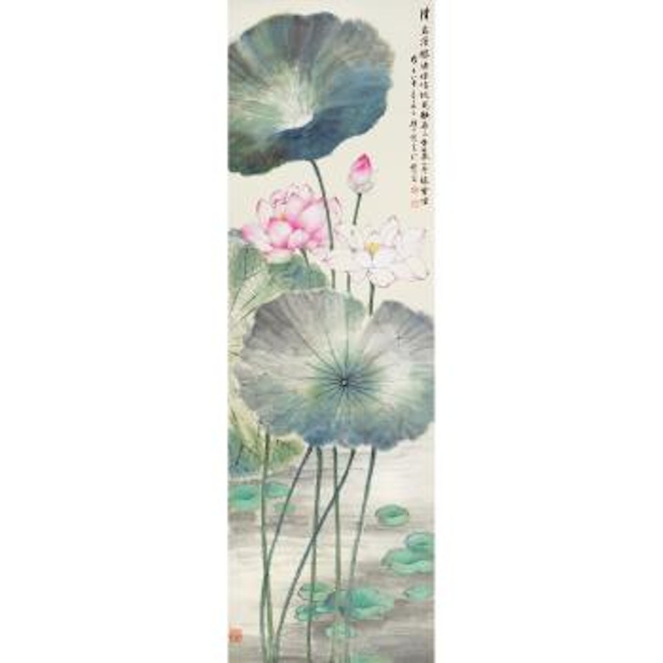 Lotus At Dawn by Yan Bolong