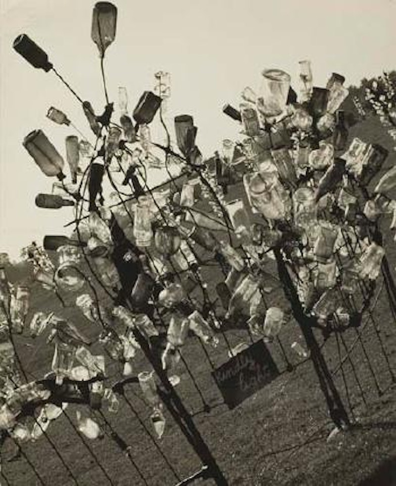 A bottle-burst on Winter Zero Swartzel's farm near Middletown, Ohio by Edward Weston