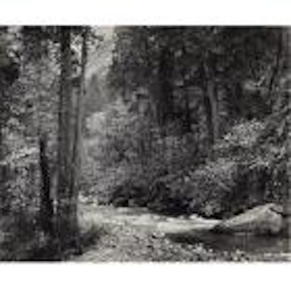 Tenaya Creek, Spring Rain by Ansel Adams