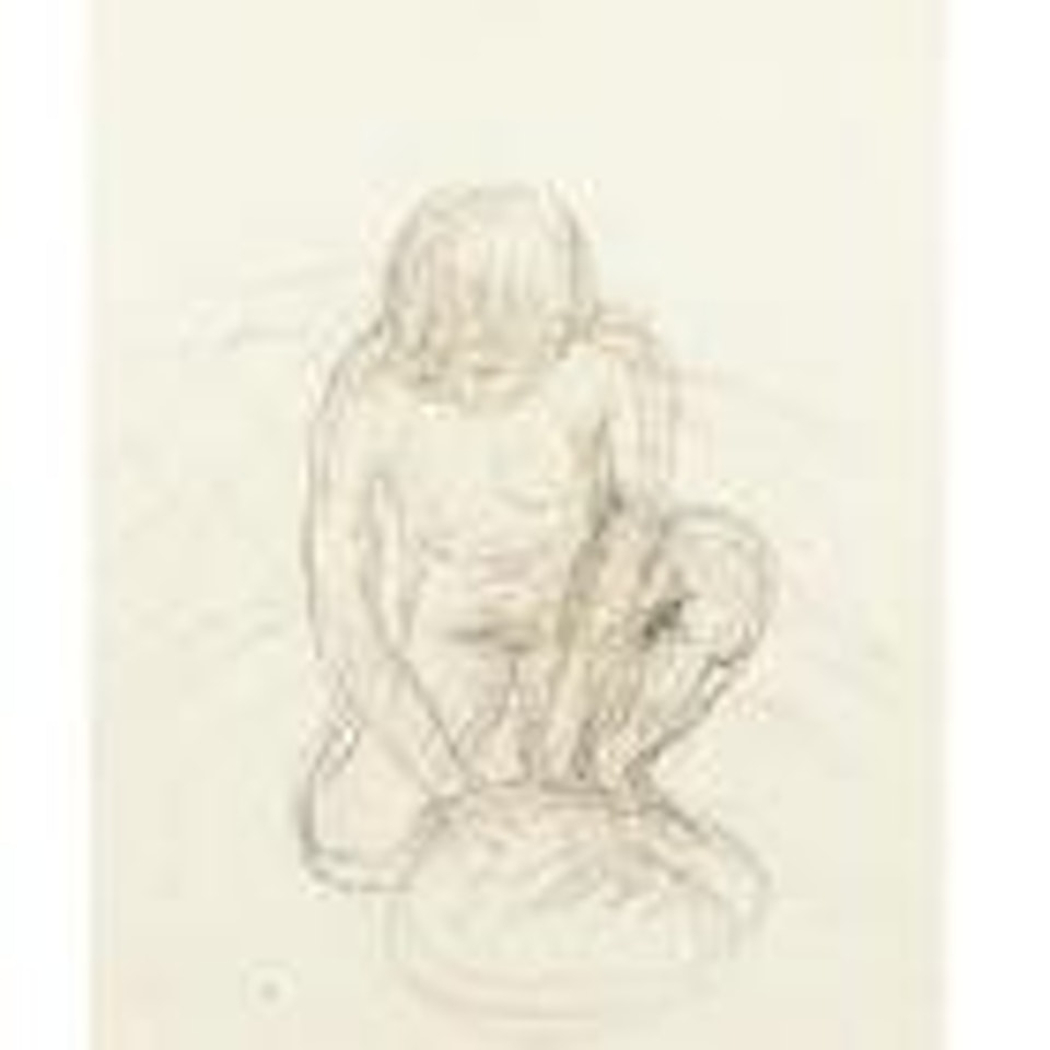 Nu Au Tub by Pierre Bonnard