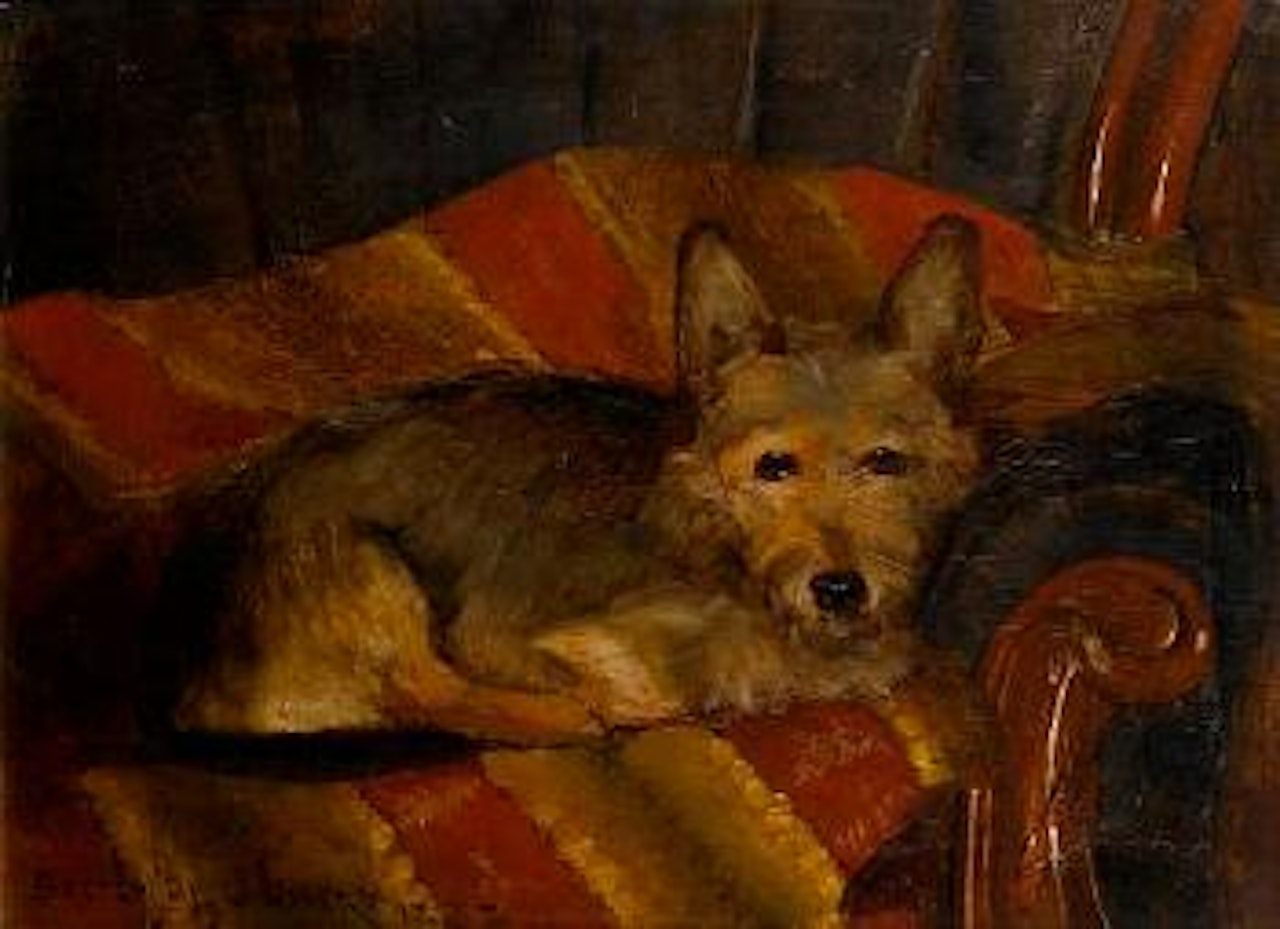 Dog on a chair by John Lavery