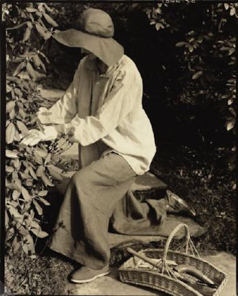 Mrs. Alexander for Vogue by Edward Steichen