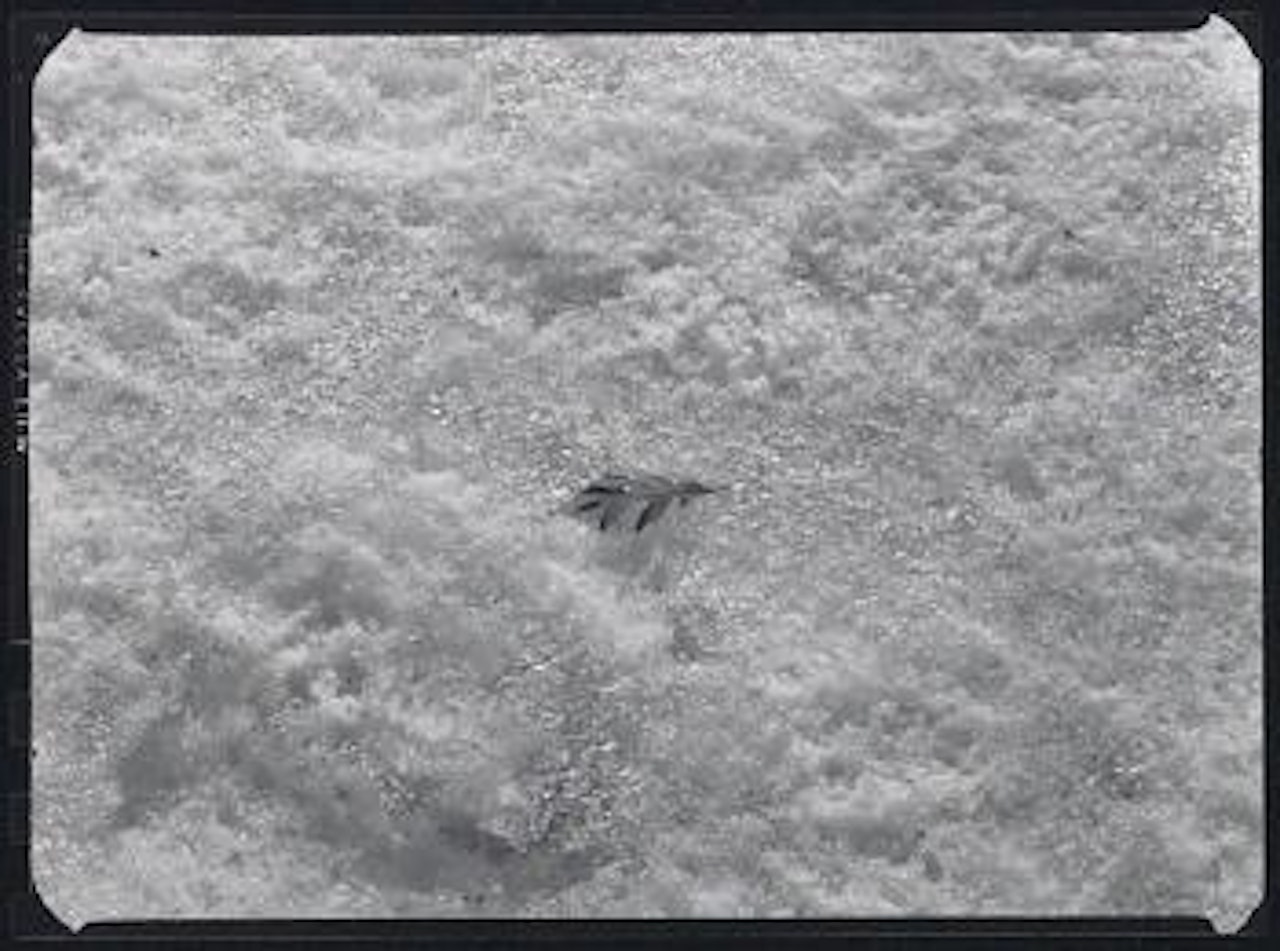 Detroit by Harry Callahan