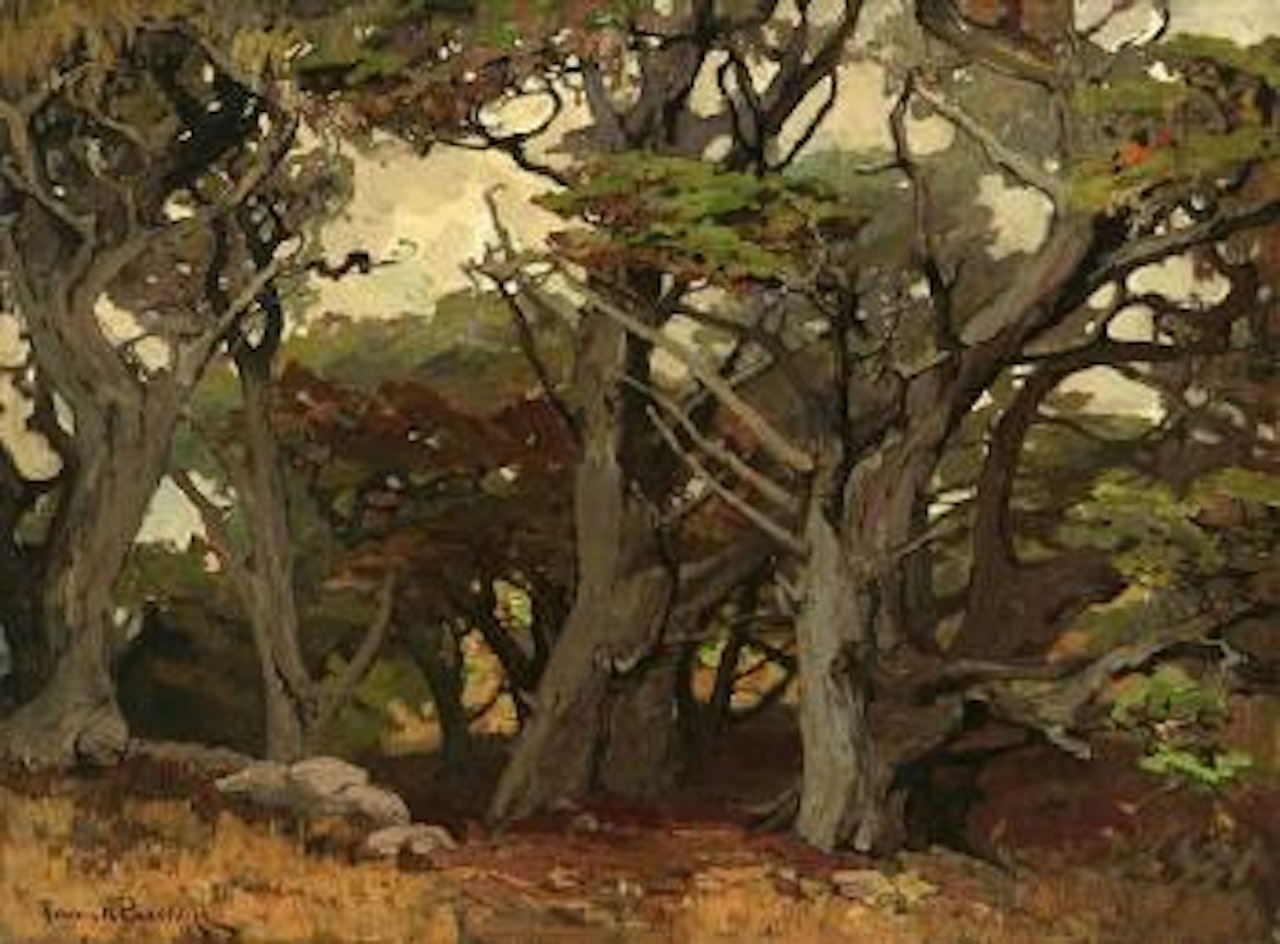 Victores Primeval (Monterey Cypresses) by Franz A Bischoff
