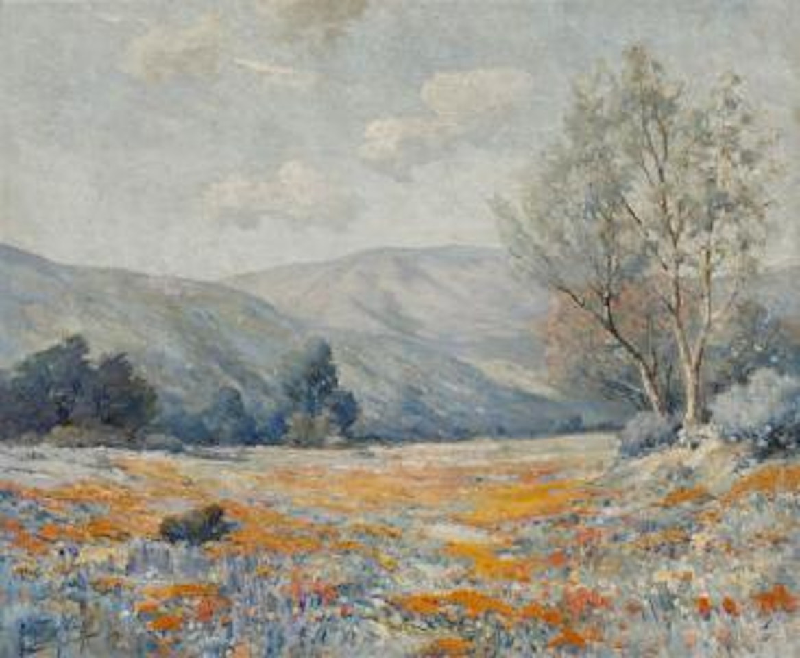 California poppies in a valley by Angel Espoy