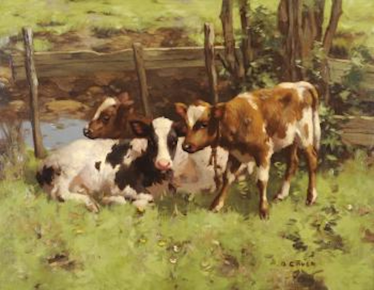 Ayrshire calves in a field beside a stream by David Gauld