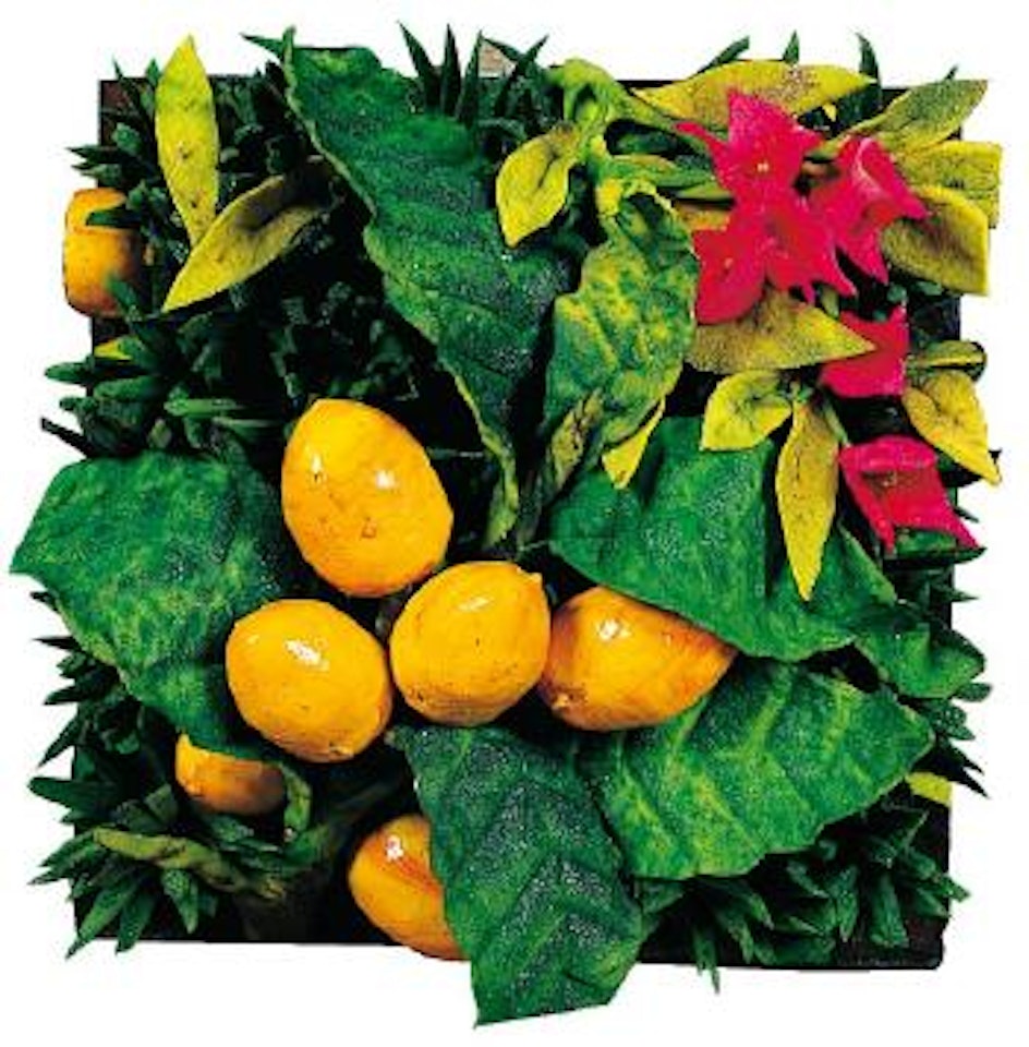 Nespole e bungavillea by Piero Gilardi