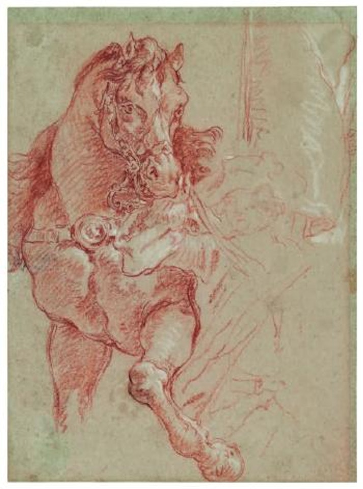 Pferd, von einem mann zurückgehalten by Giovanni Battista Tiepolo