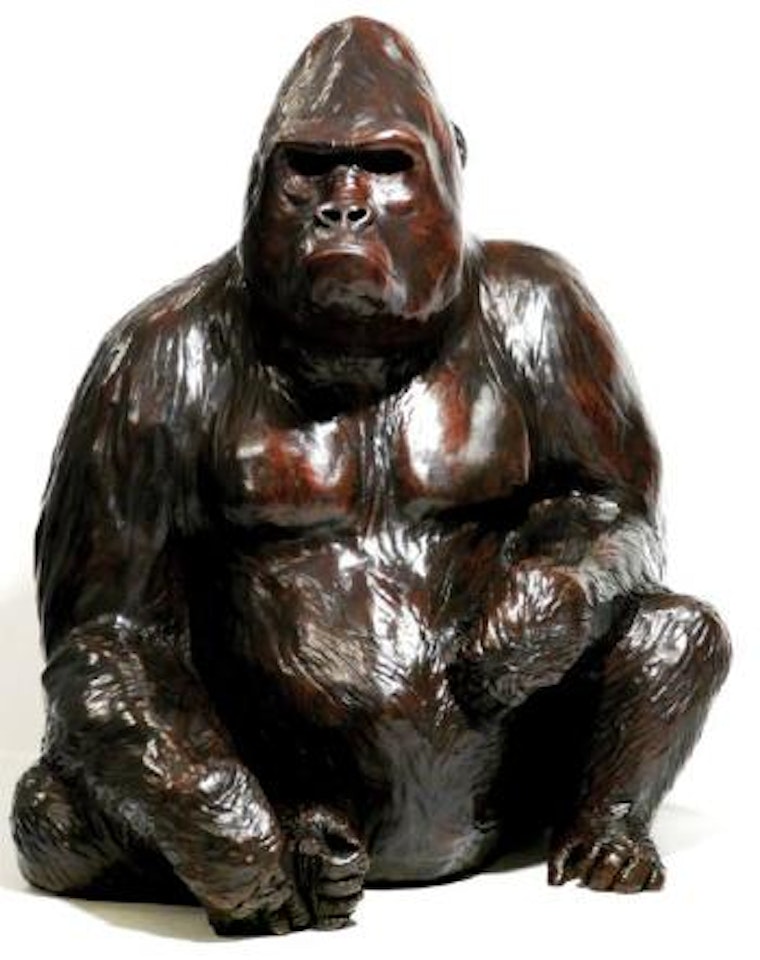 Platon, gorille des plaines by Damien Colcombet