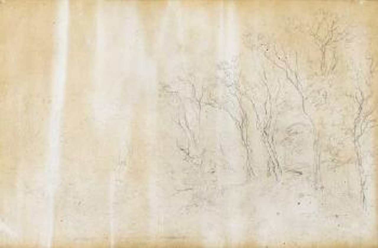 A study of trees by John Constable