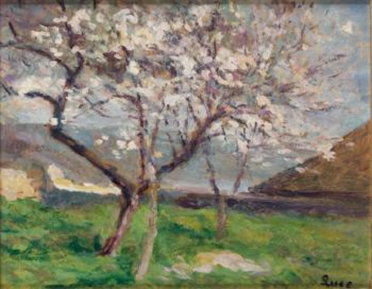 Arbres en fleurs à Rolleboise, printemps by Maximilien Luce