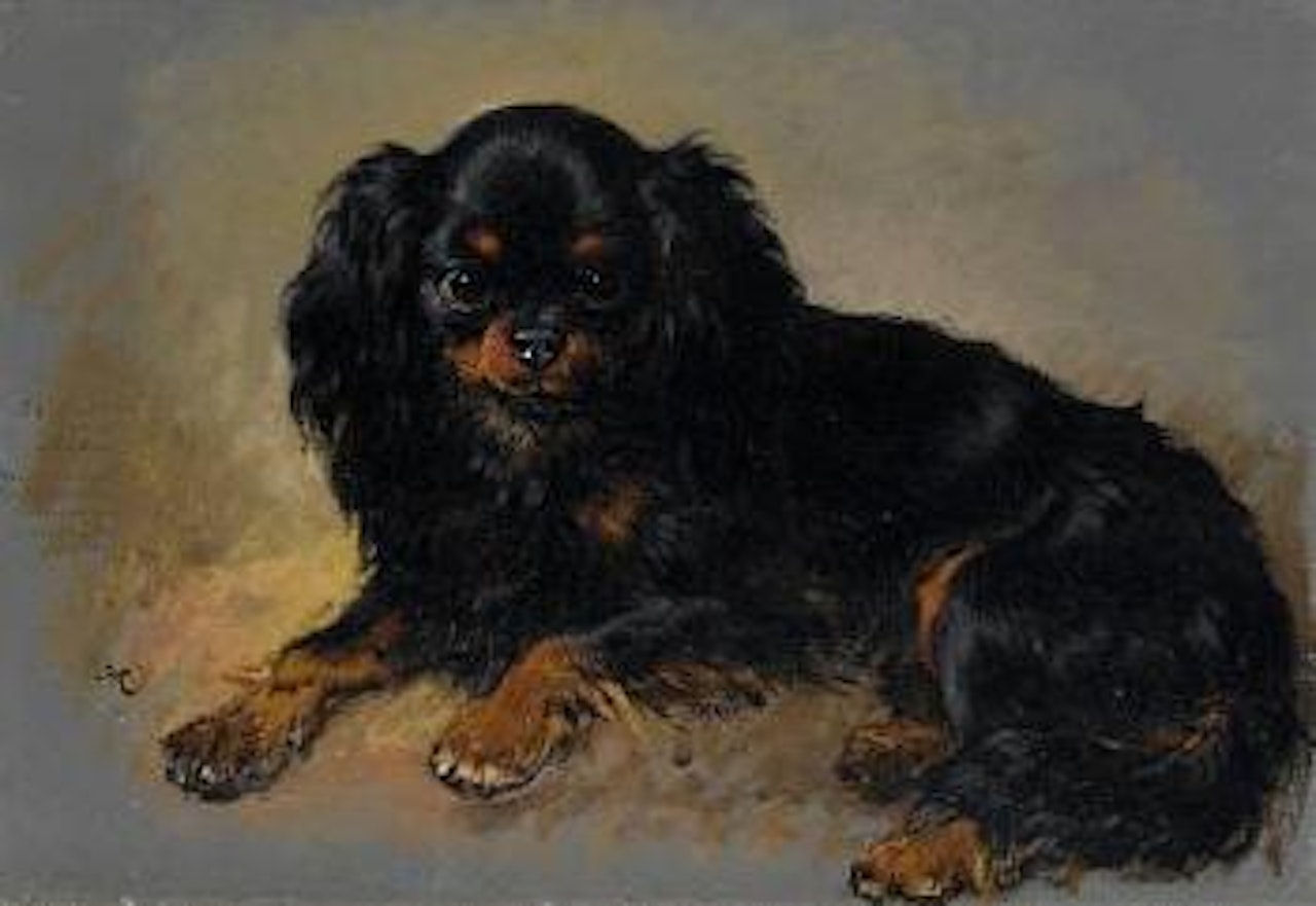 Neptune - a King Charles spaniel by Henriette Ronner-Knip