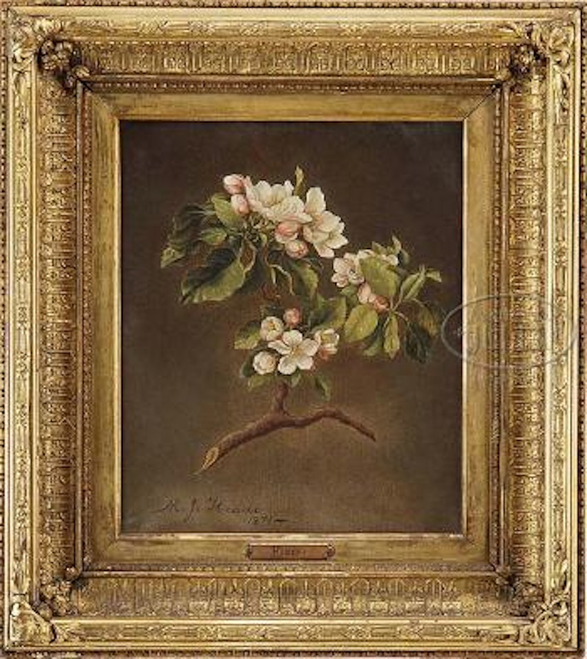Apple Blossoms by Martin Johnson Heade