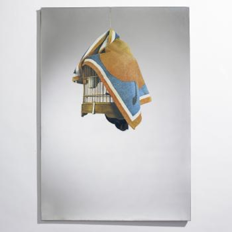 La Gabbia by Michelangelo Pistoletto