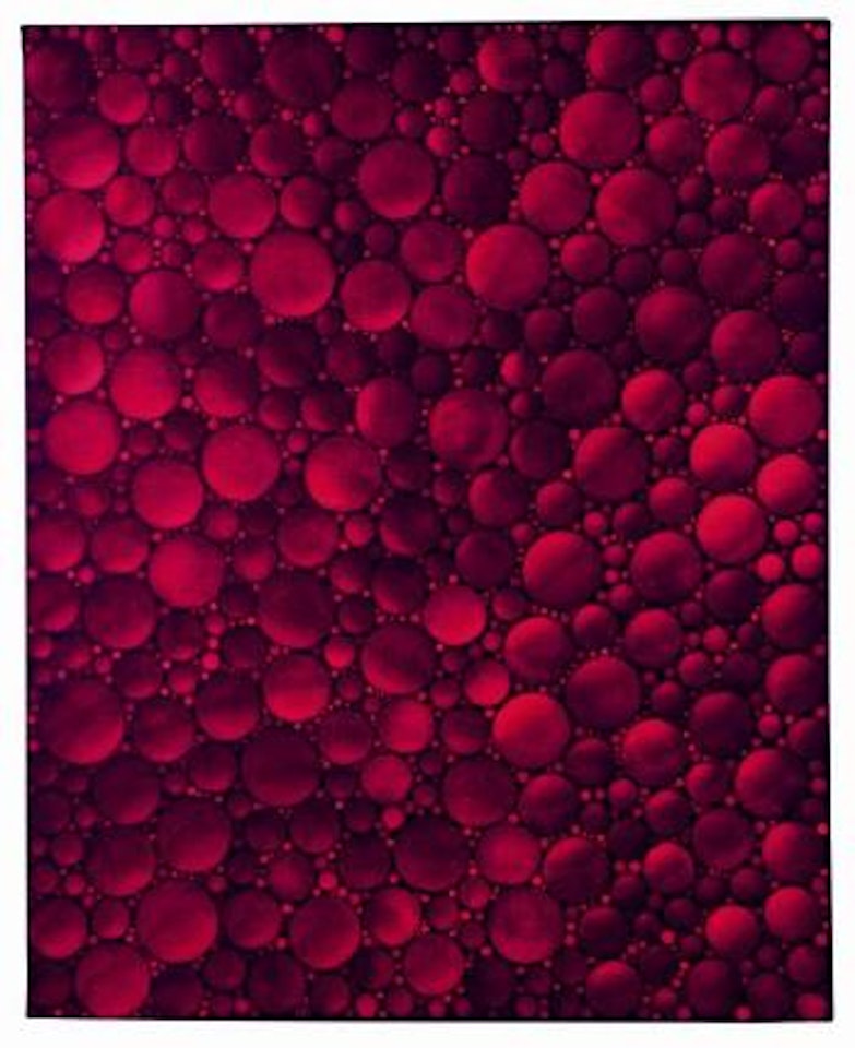 Evening Glow by Yayoi Kusama