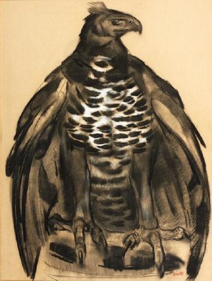 Oiseau de proie by Paul Jouve