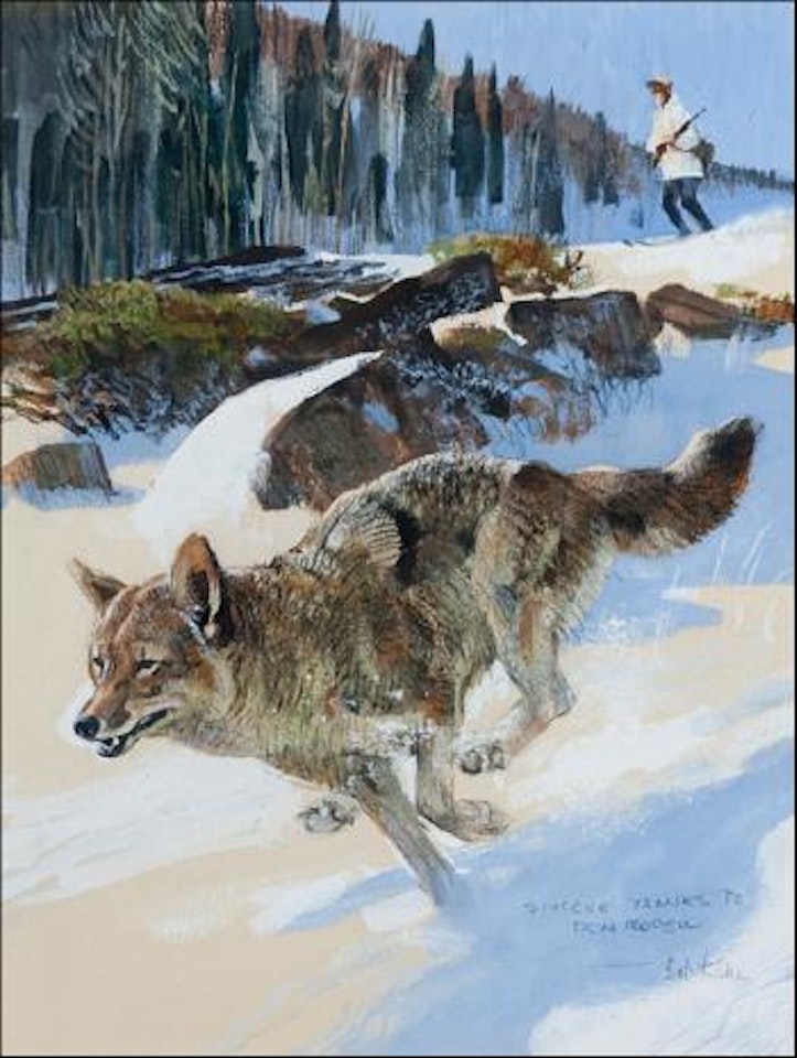 Coyote by Bob Kuhn