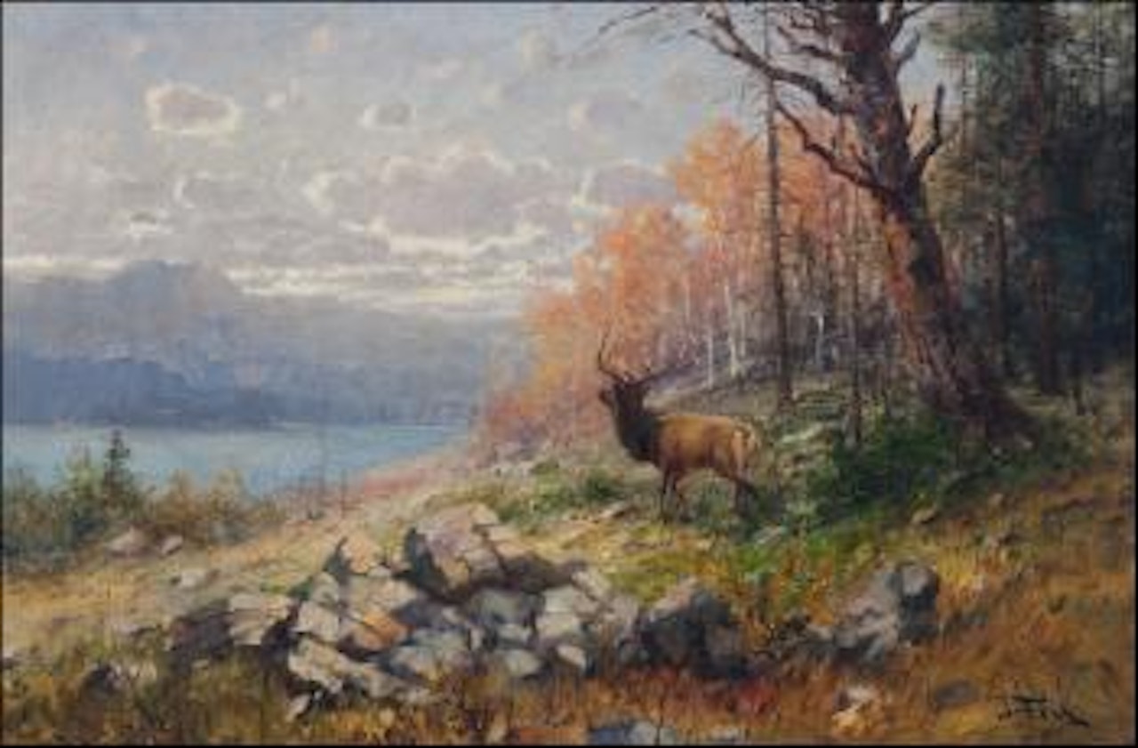 Elk in fall lanscape by John Fery