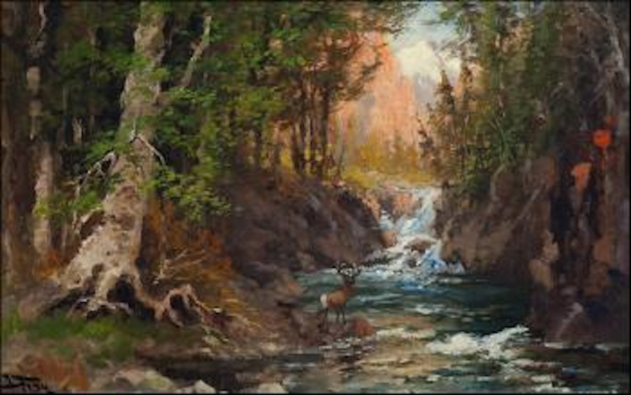 Woodland solitude by John Fery