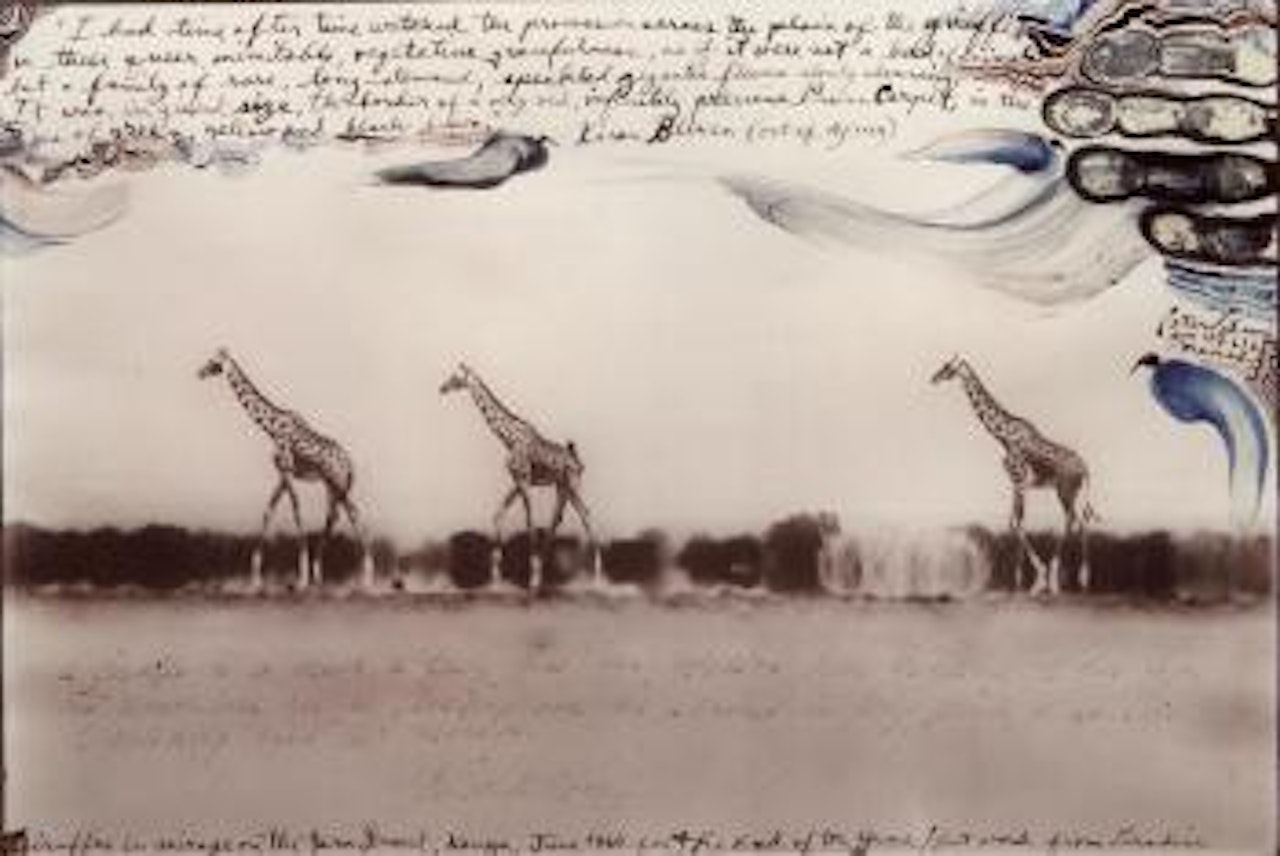 Giraffes in Mirage on the Taru Desert, Kenya by Peter Beard