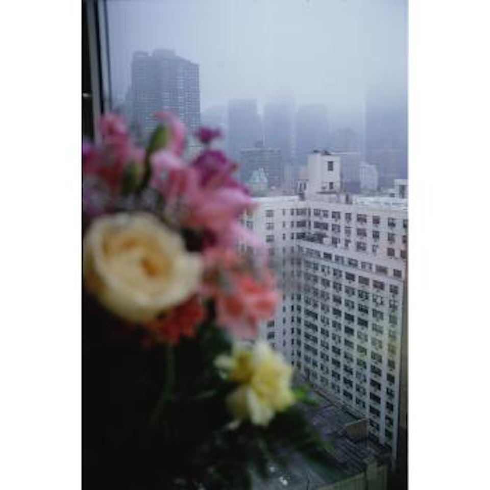 View for my window, Roosevelt Hosipital, NYC by Nan Goldin
