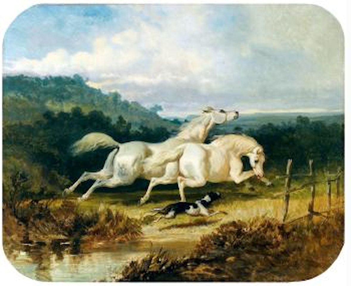 Deux étalons gris et un chien galopant dans la campagne by Alfred de Dreux