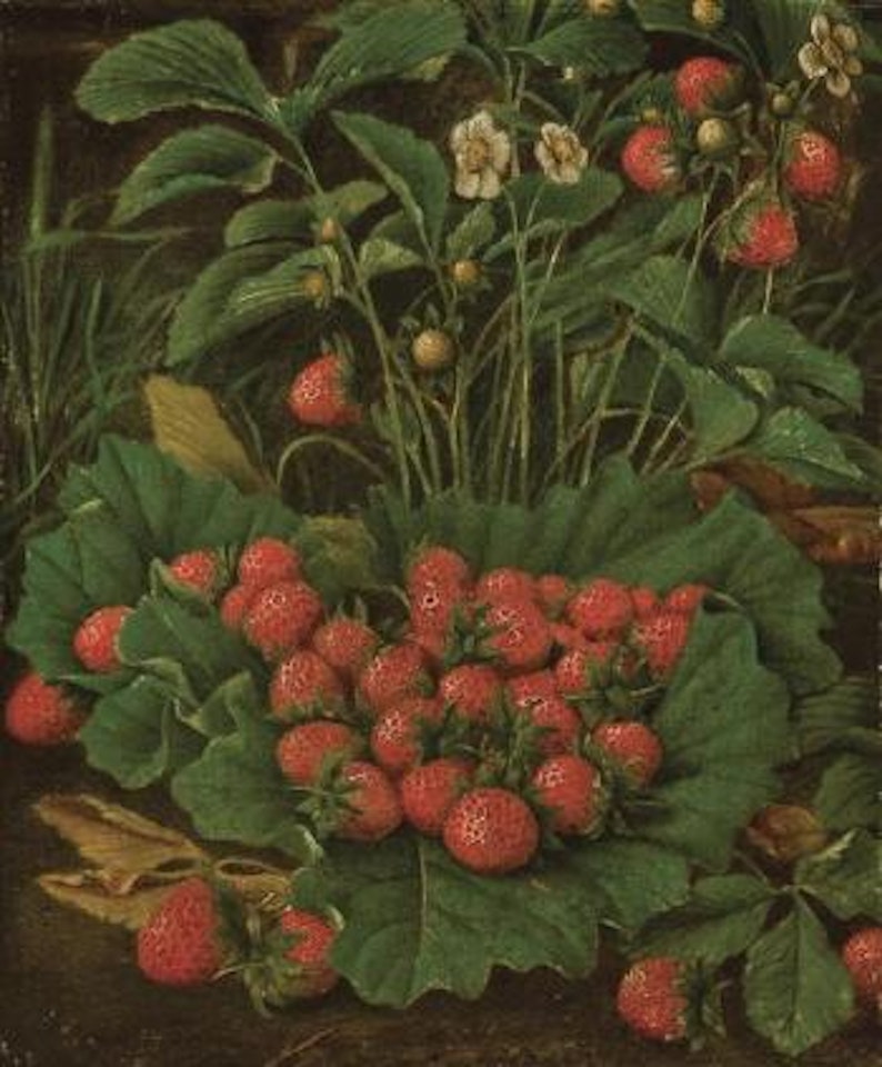 Stawberries by Levi Wells Prentice