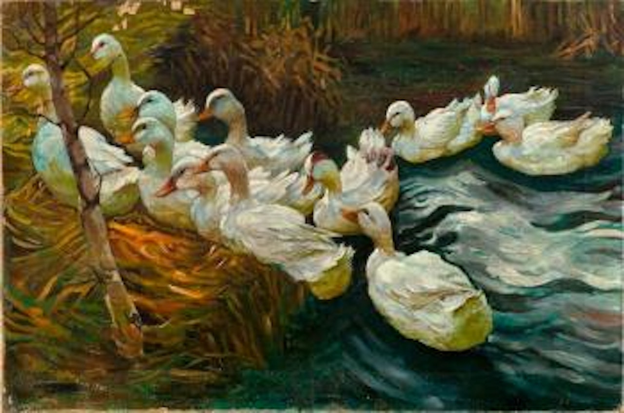 Enten im wasser (Ducks in the water) by Alexander Koester