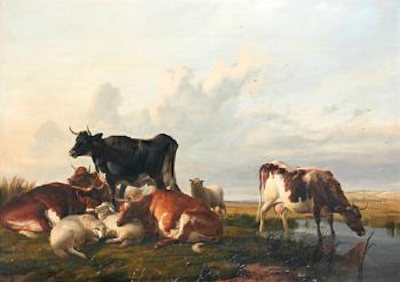 Cattle and Sheep, probably in Canterbury Meadows by Thomas Sidney Cooper
