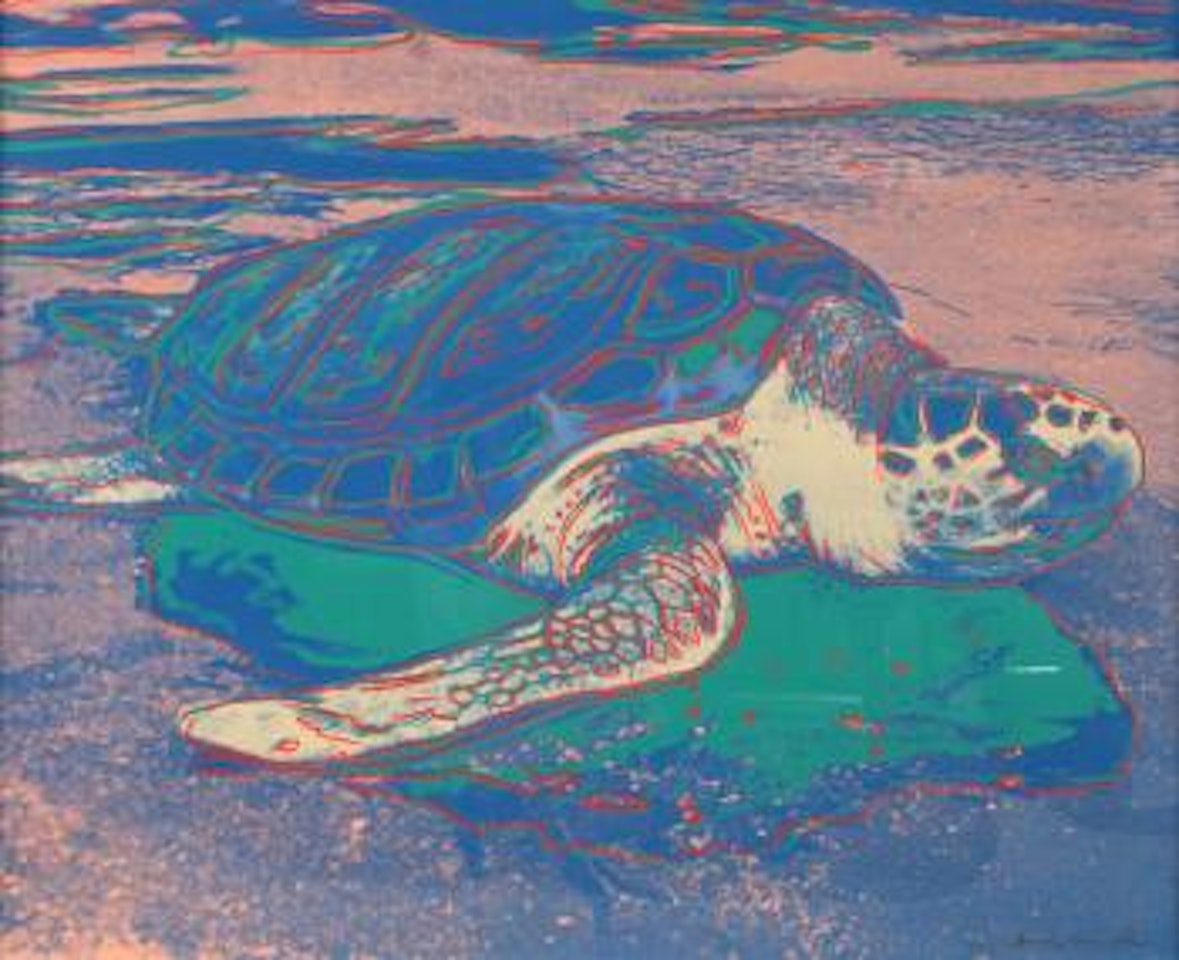 Turtle by Andy Warhol