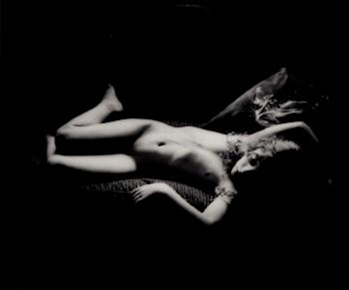 Dog scratches by Sally Mann