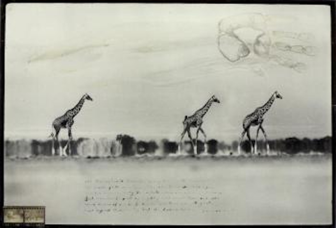 Taru Desert by Peter Beard