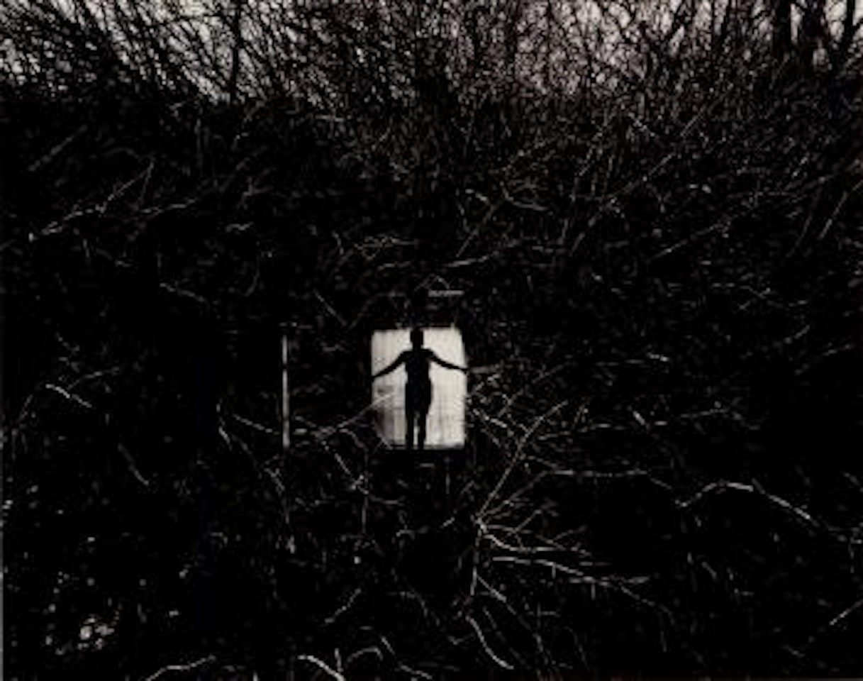Eleanor, Chicago by Harry Callahan