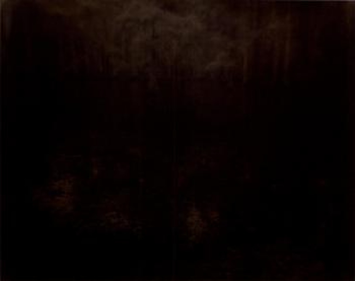 Deep South #45 by Sally Mann