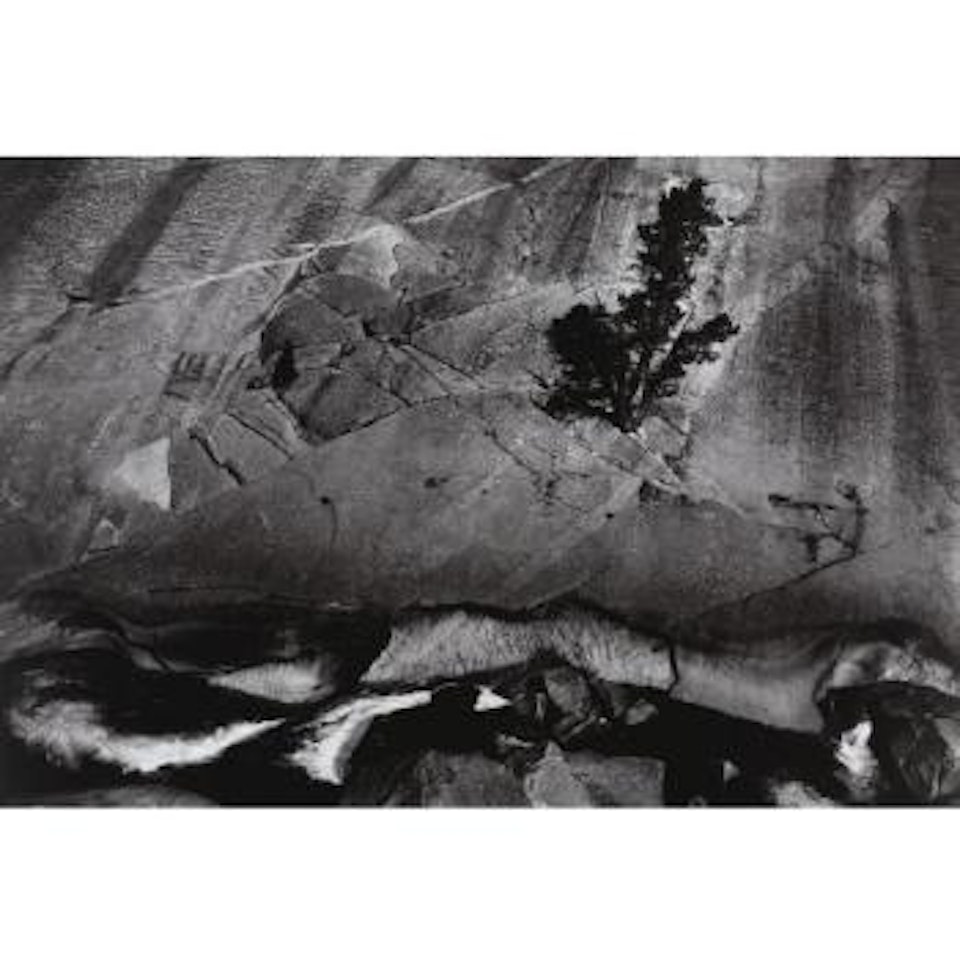 Juniper, Cliffs, And River, Upper Merced River Canyon, Yosemite National Park, California by Ansel Adams