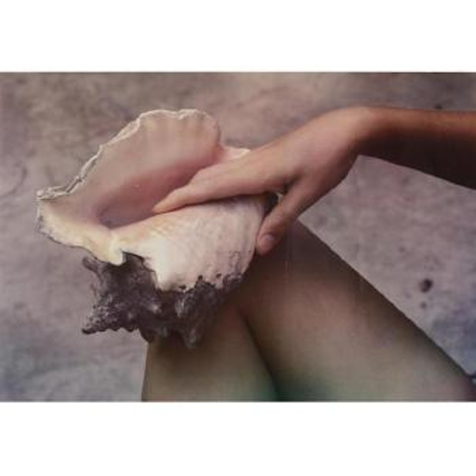 Hand, Shell, And Leg by Paul Outerbridge