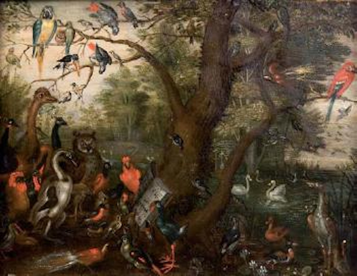Concert d'oiseaux by Jan Van Kessel The Elder